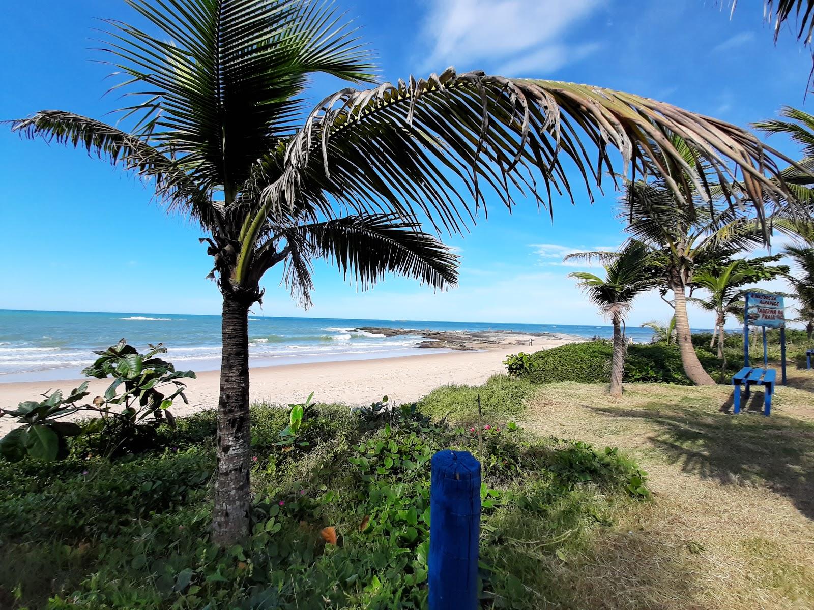 Sandee Praia De Hollywood