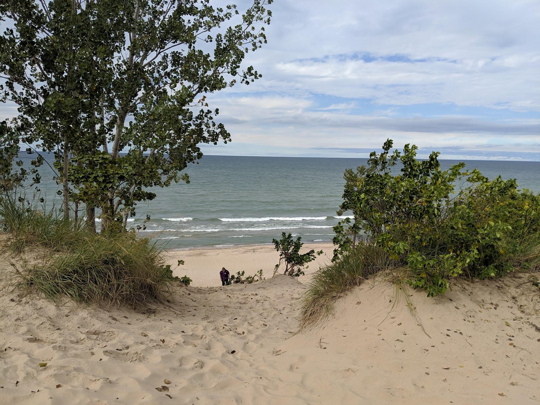 Sandee Shore Avenue Beach Photo