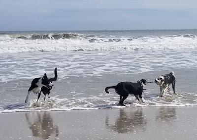 Sandee - Kathryn Abbey Hanna Park Beach