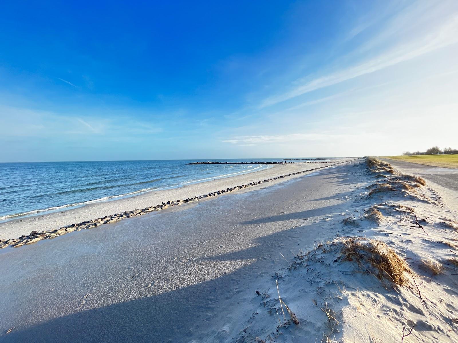 Sandee Hundestrand Abschnitt 4