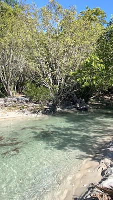 Sandee - Virginia Key Beach Park