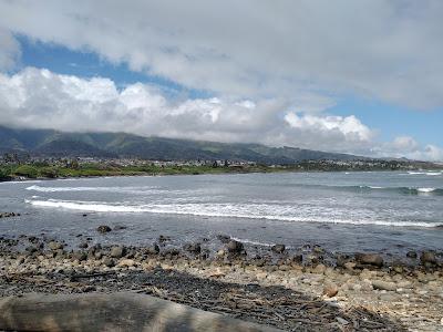 Sandee - Paukukalo Beach