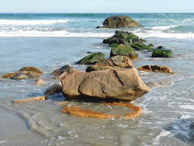 Sandee - Scarborough State Beach