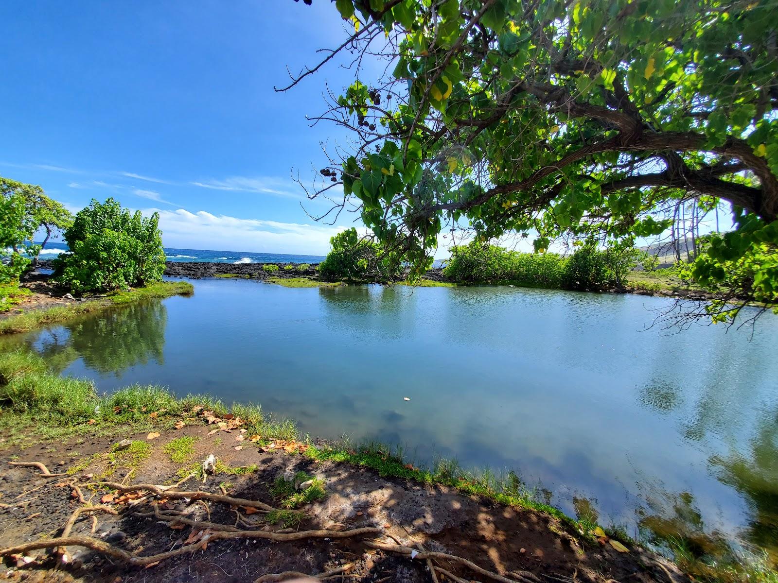 Sandee - Punalu'U Beach Park