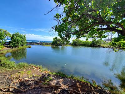 Sandee - Punalu'U Beach Park