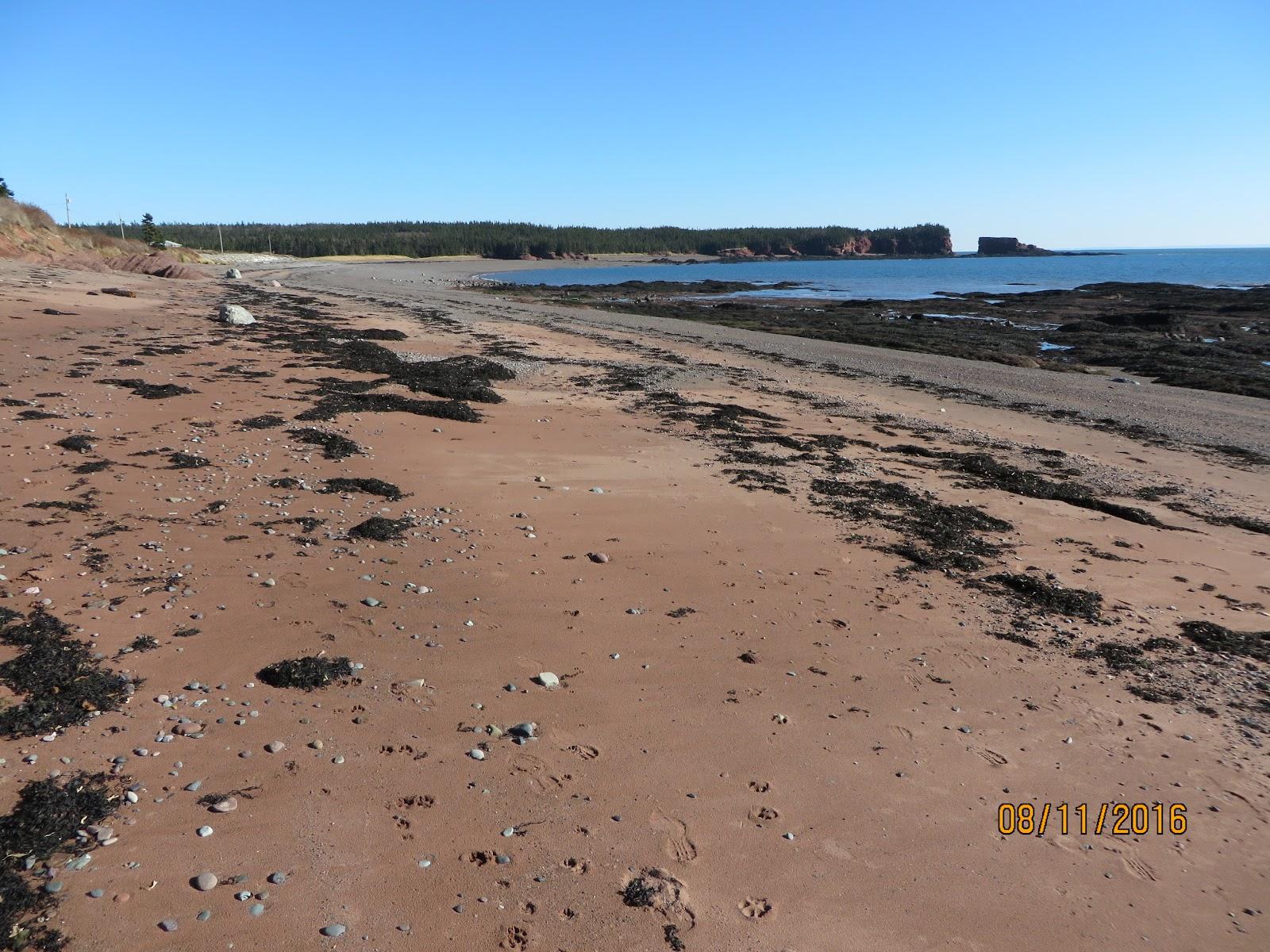 Sandee Gardner Creek Beach Photo