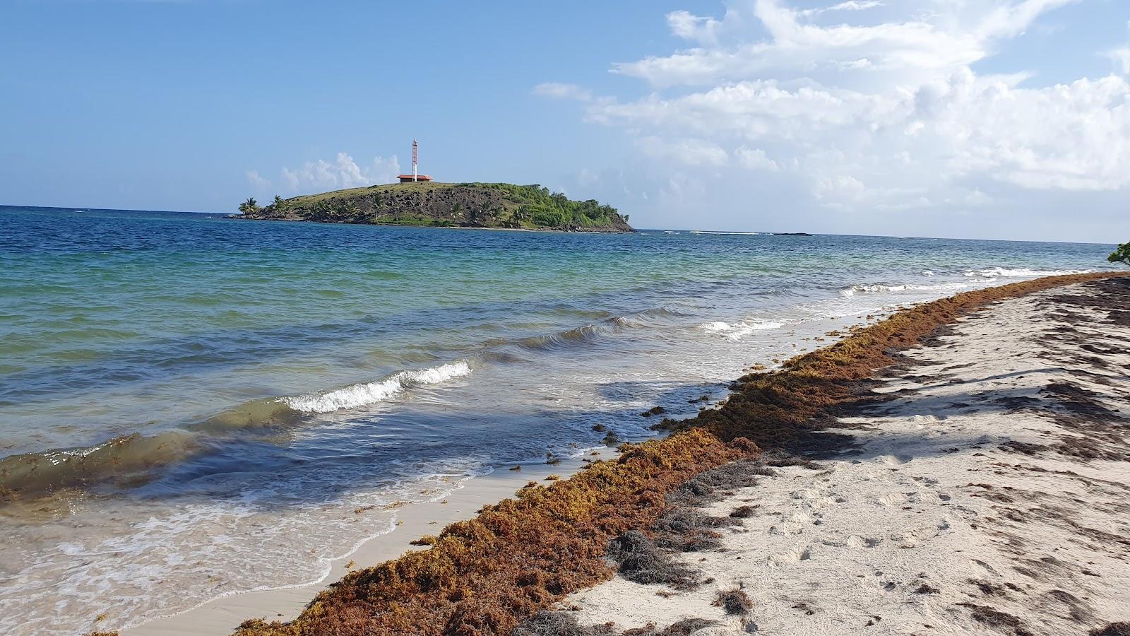 Sandee - Plage Des Pruneaux
