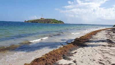 Sandee - Plage Des Pruneaux
