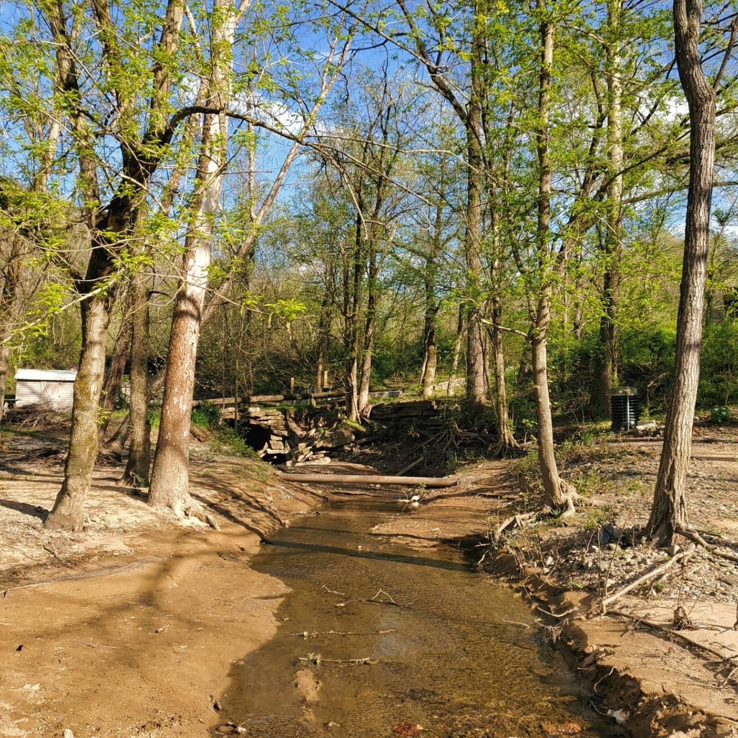 Sandee Gilbert Beach At Veteran's Park Photo