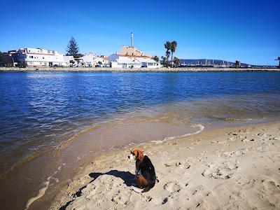 Sandee - El Rinconcillo Beach