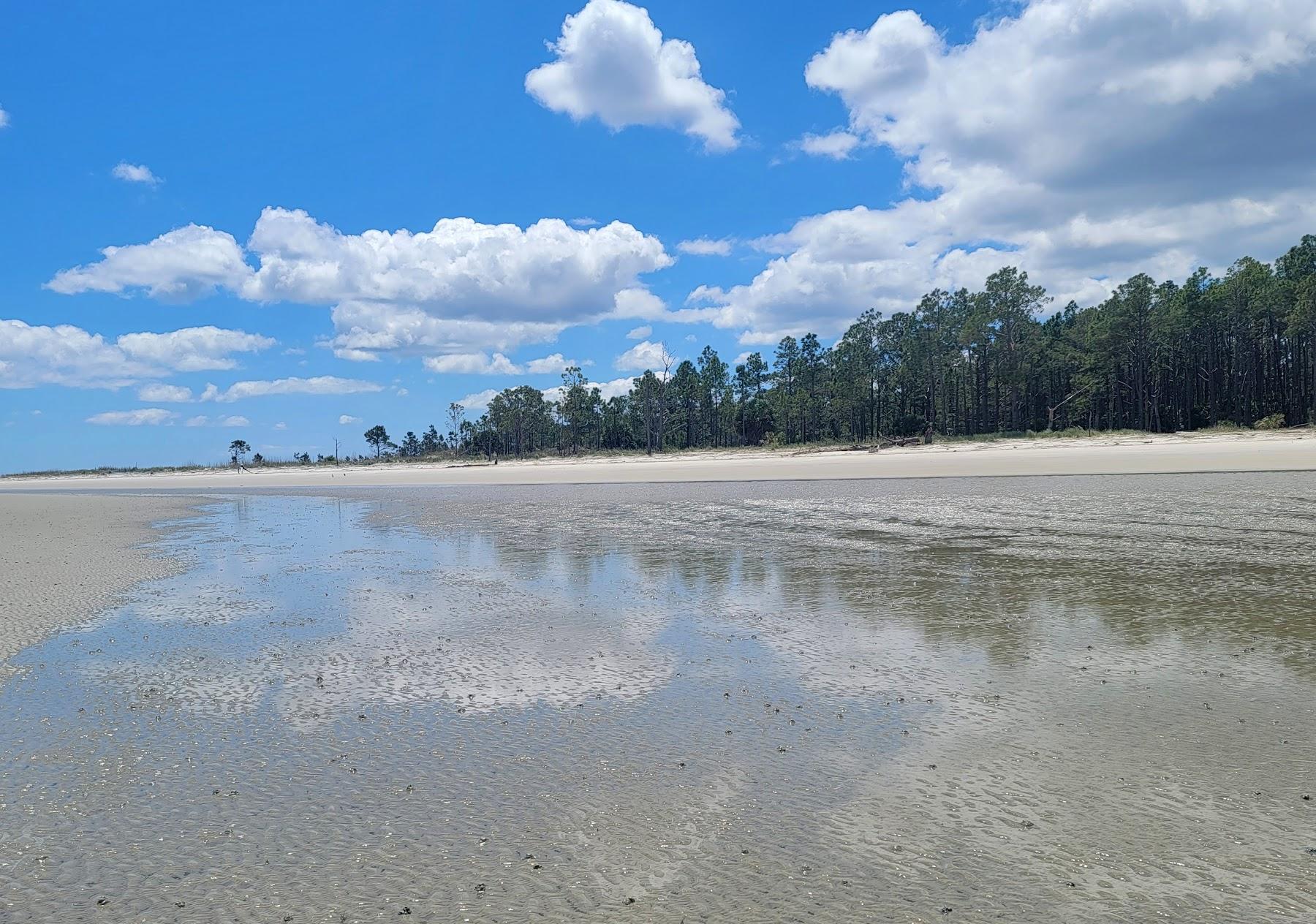 Sandee St. Catherines Island Photo