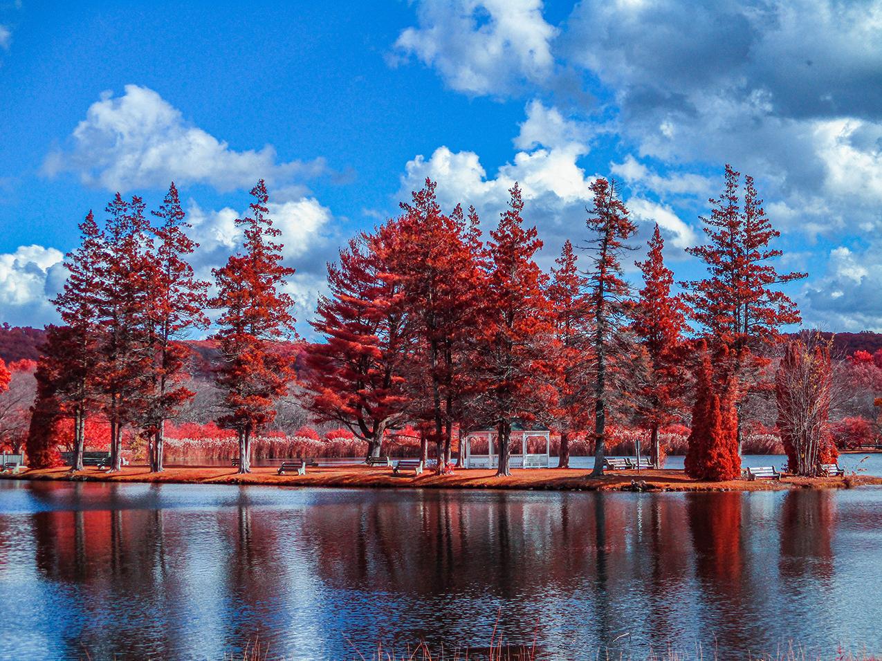 Sandee - Horseshoe Lake