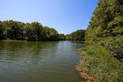 Sandee - Natchez Trace Rv Campground