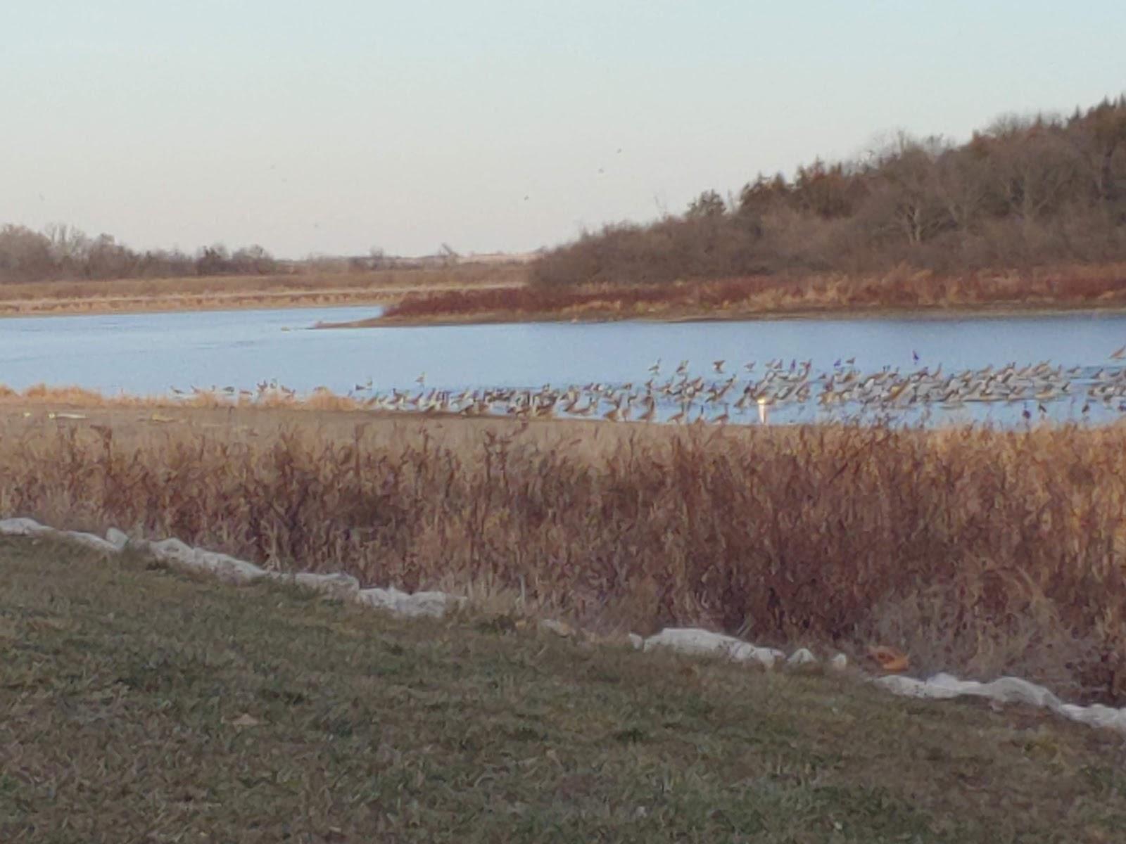 Sandee Viking Lake State Park
