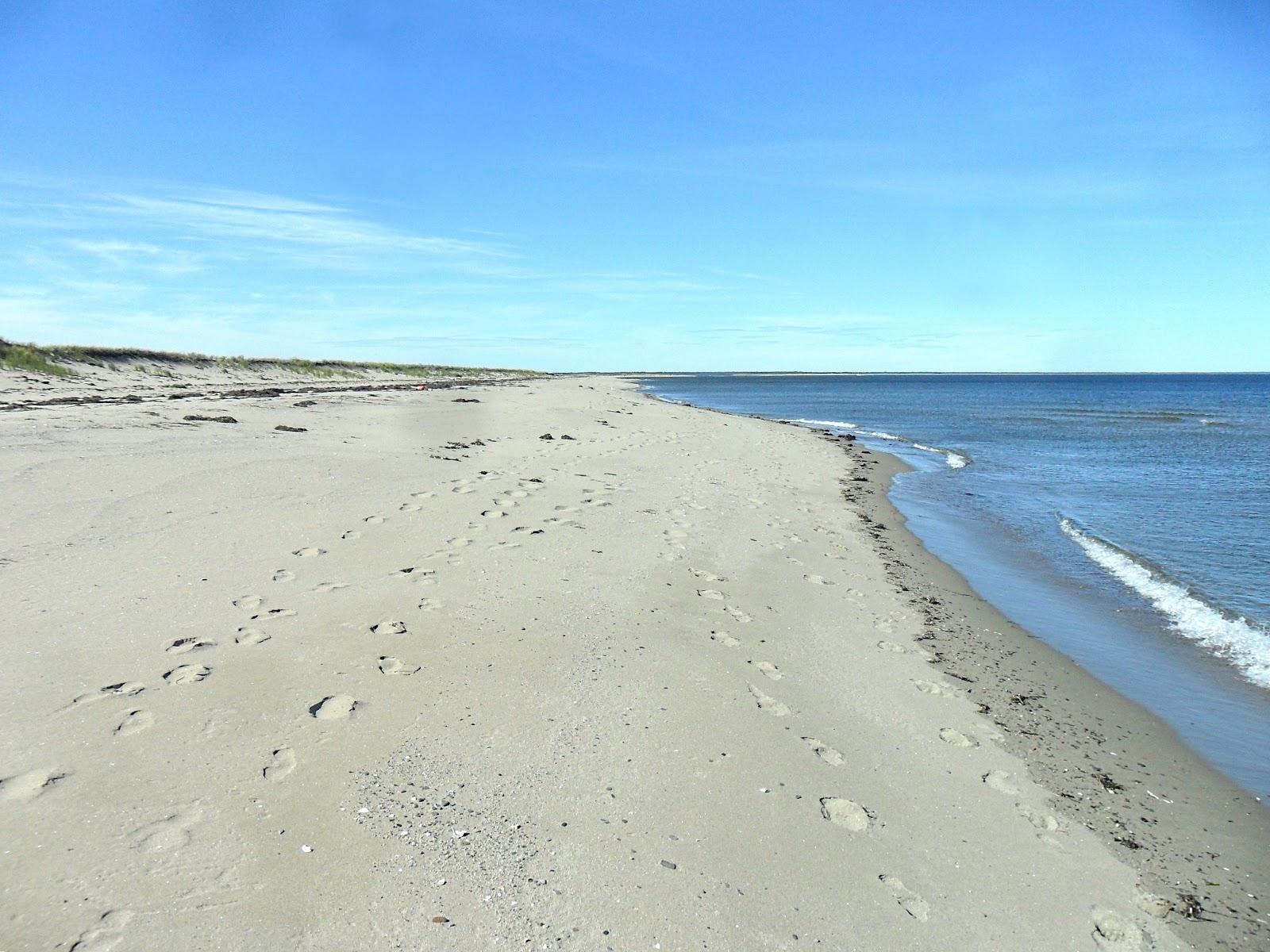 Sandee North Kouchibouguac Dune Photo