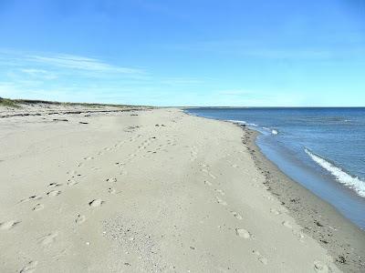 Sandee - North Kouchibouguac Dune