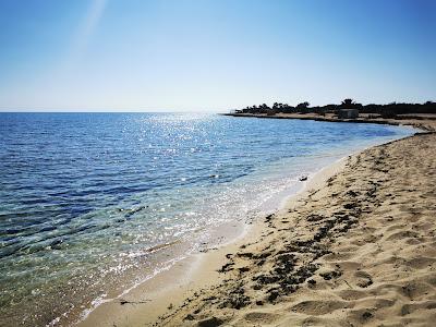 Sandee - Liopetri Beach