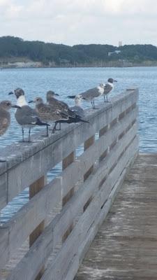 Sandee - Copano Bay State Fishing Pier