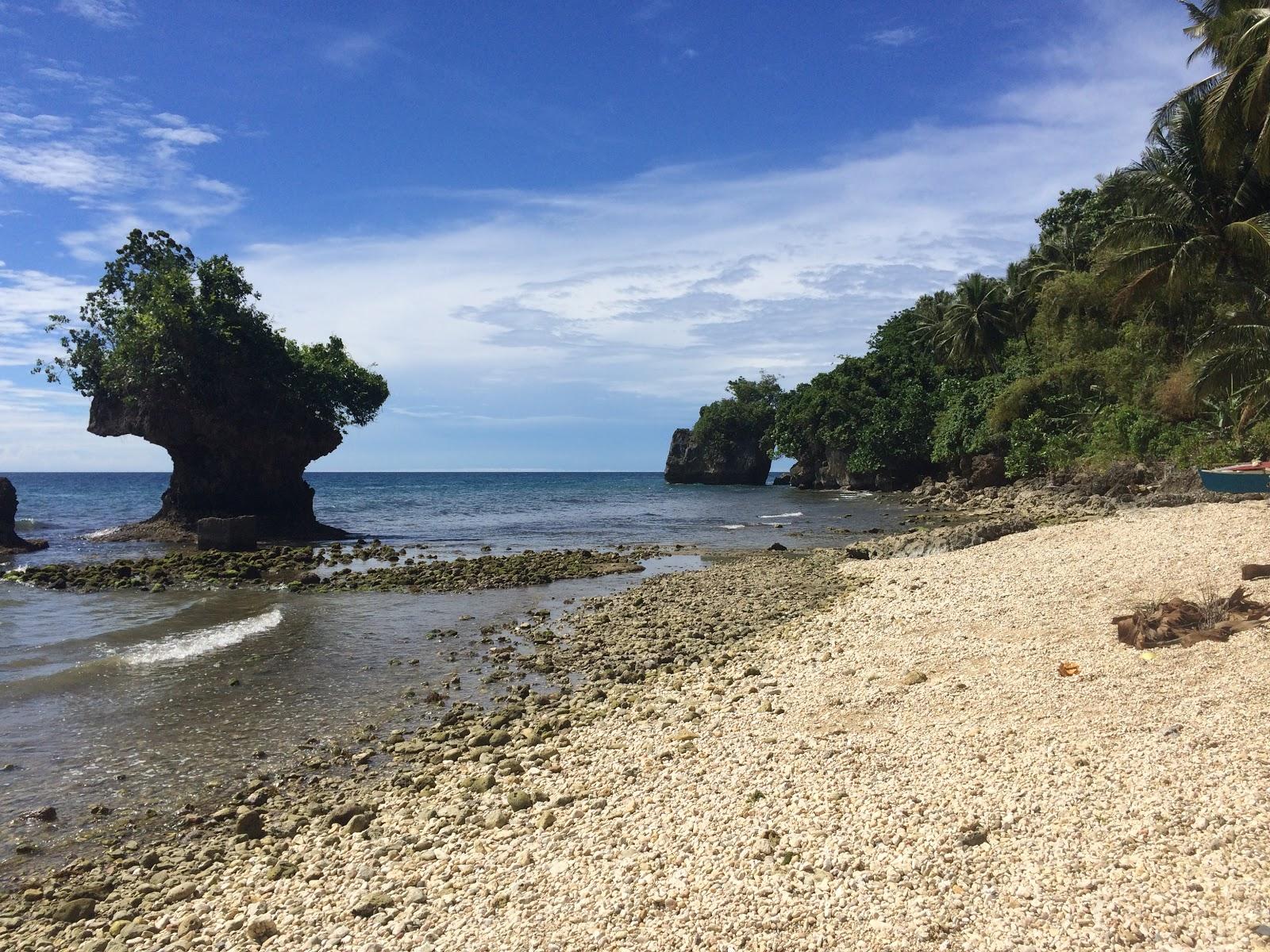 Sandee Anas Rocky Beaches Photo