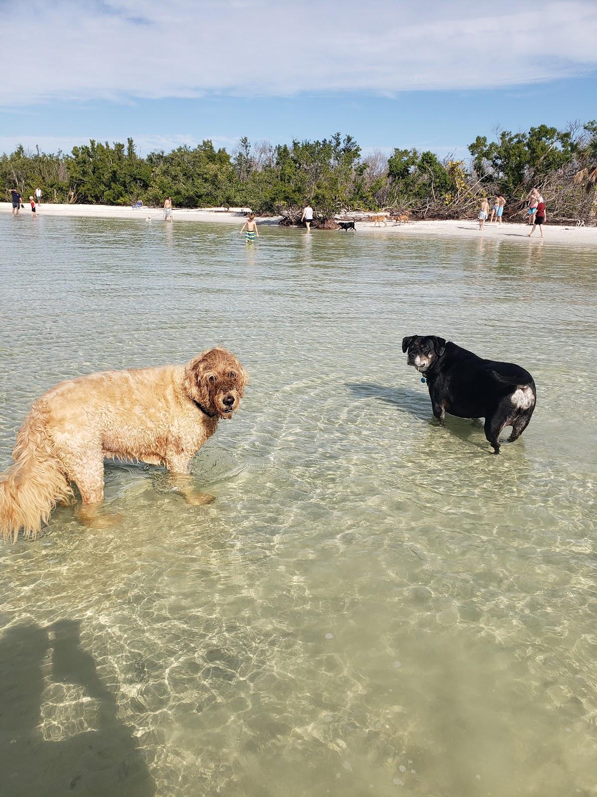 Sandee - Bonita Beach Dog Park