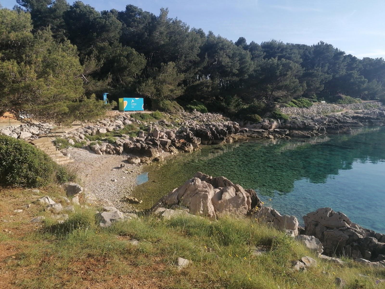 Sandee Bojcic Beach