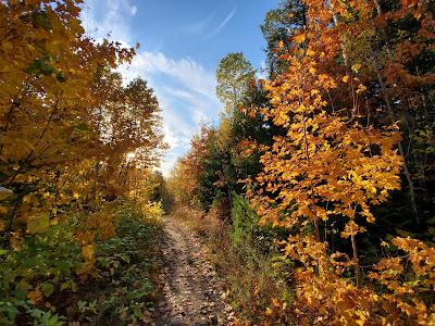 Sandee - Russell And Miriam Grinnell Memorial Nature Sanctuary