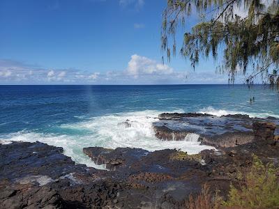 Sandee - Prince Kuhio Park