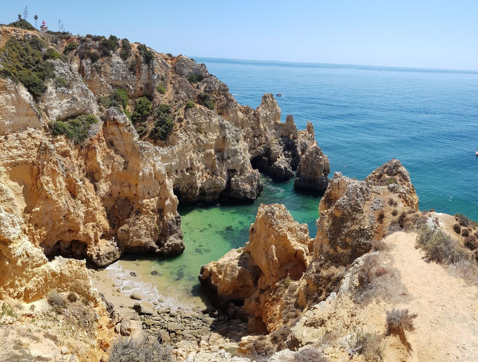 Sandee Perttu's Cove