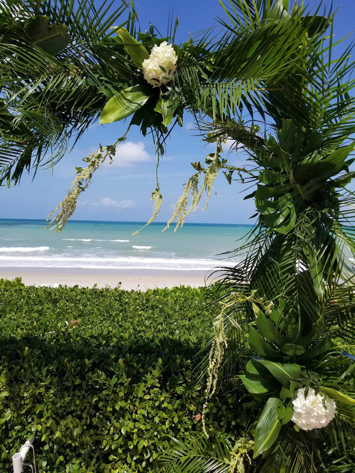 Sandee - Beach Sea Oaks