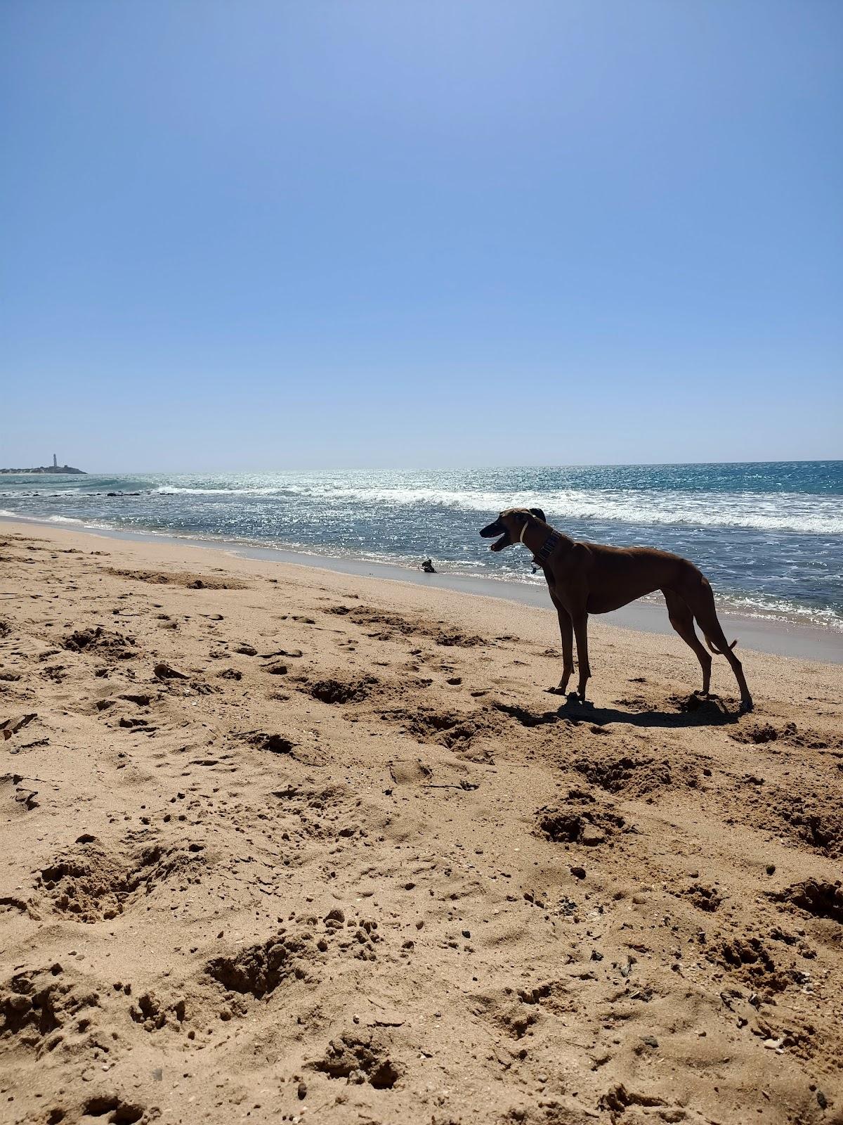 Sandee - Playa Mangueta / Playa Manqueta