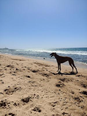 Sandee - Playa Mangueta / Playa Manqueta