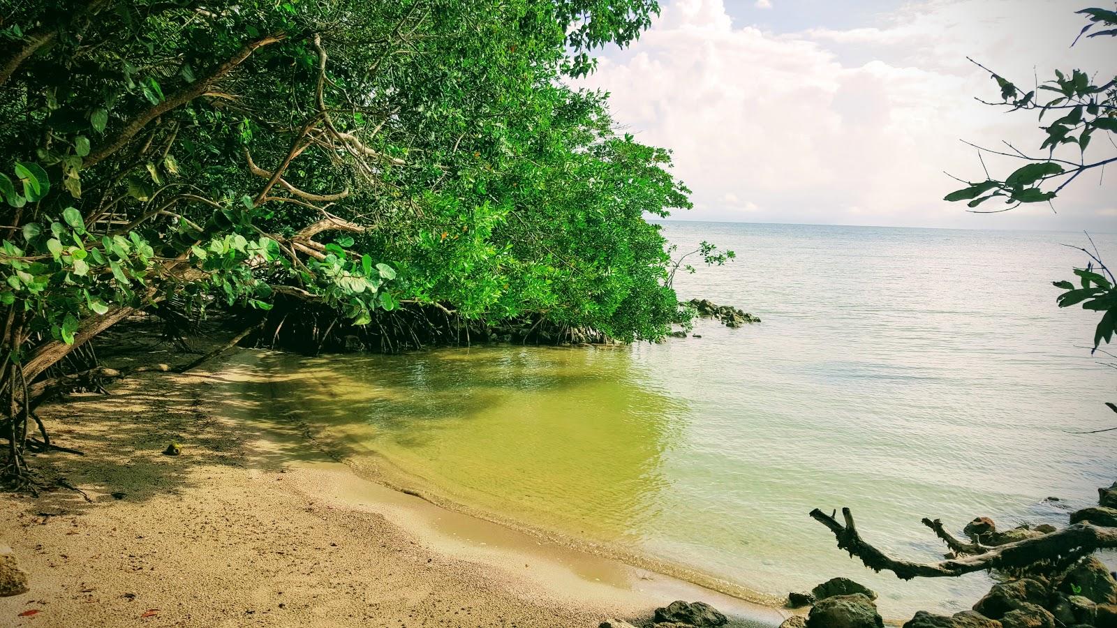 Sandee Mangrove Park