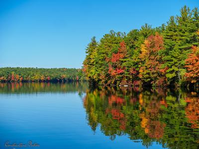 Sandee - Asnacomet Pond