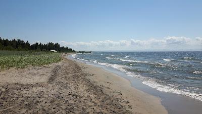 Sandee - Allenwood Beach