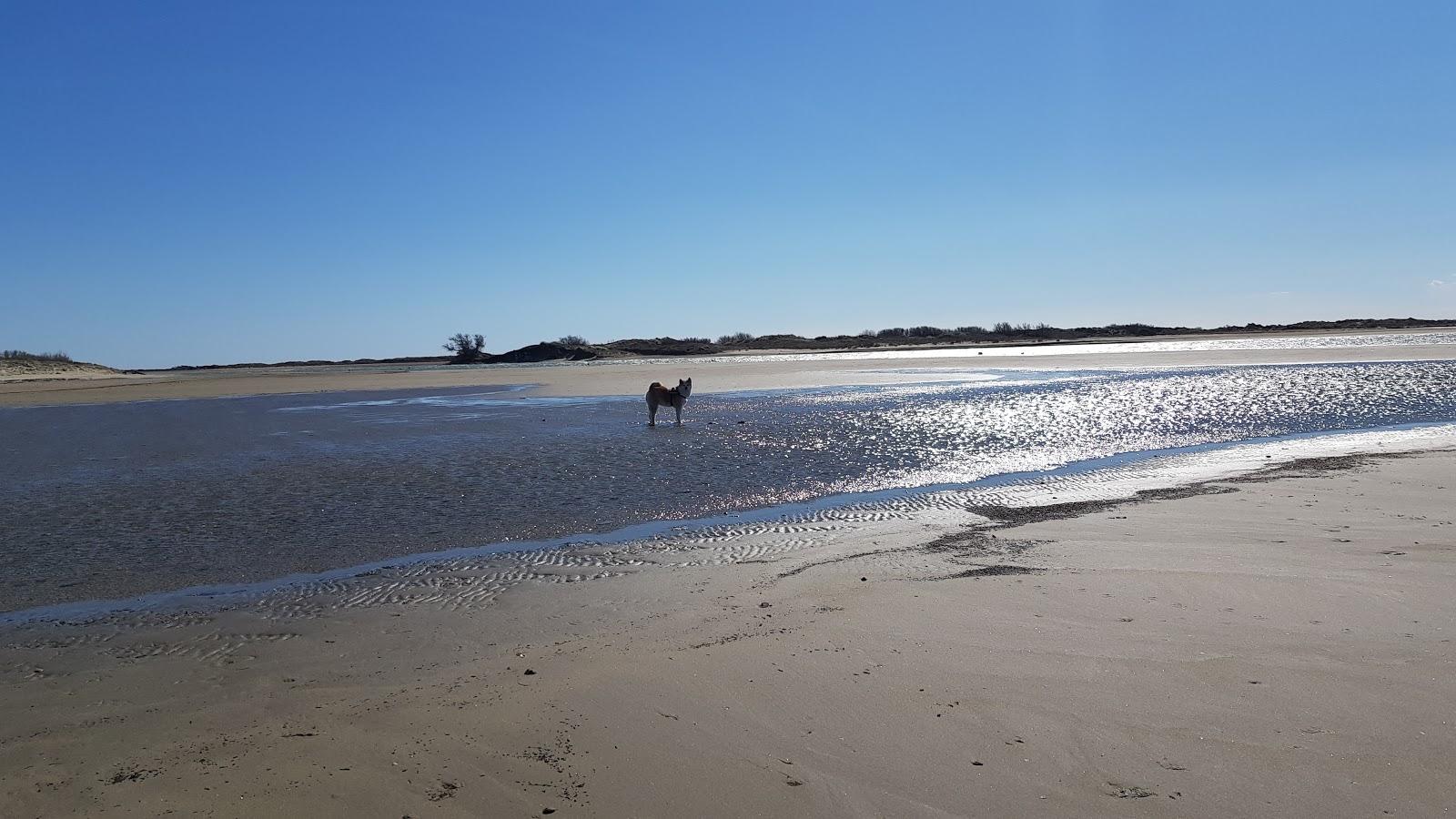 Sandee Beach Beauduc