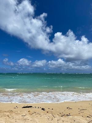 Sandee - Laniloa Beach