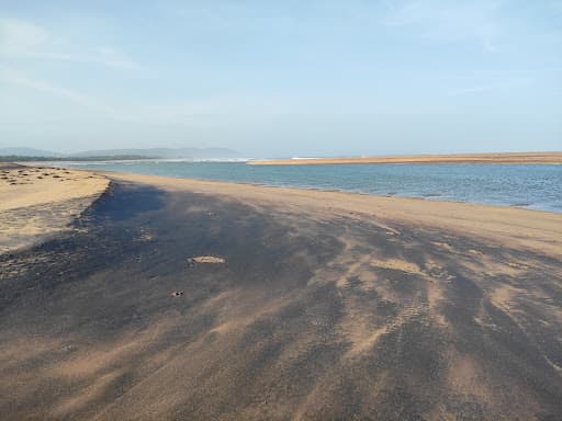 Sandee Purunabandha Sea Beach Photo