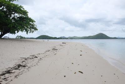 Sandee - Debotunay Island Beach