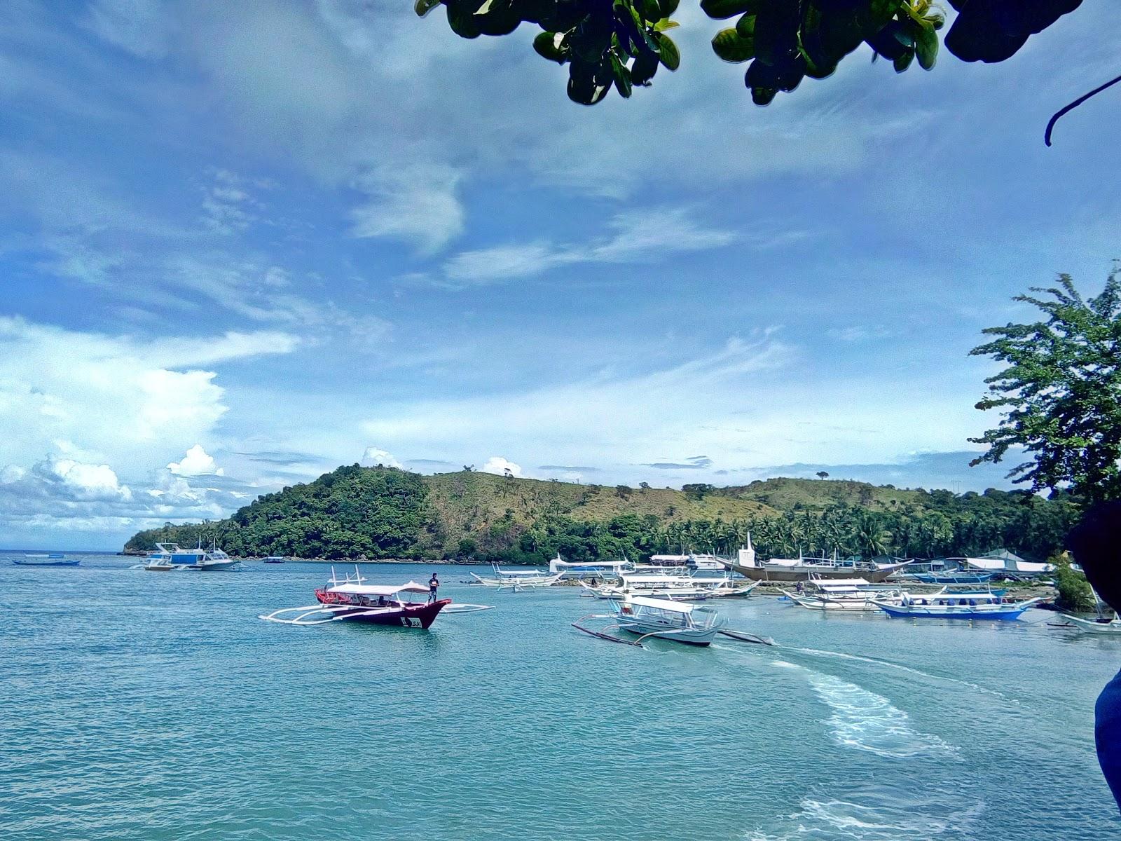 Sandee Minolo Cove