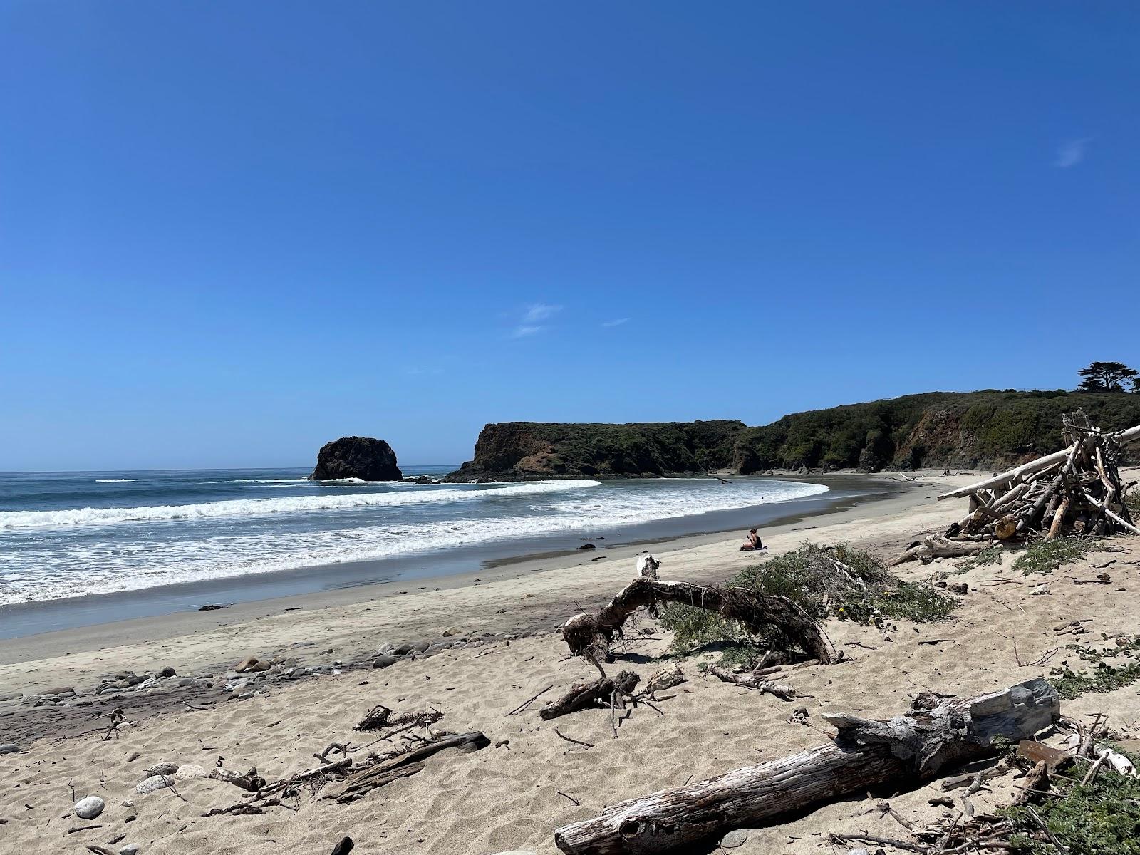 Sandee Andrew Molera State Park