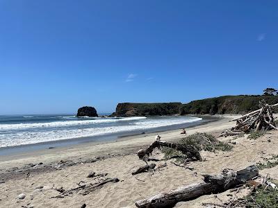 Sandee - Andrew Molera State Park