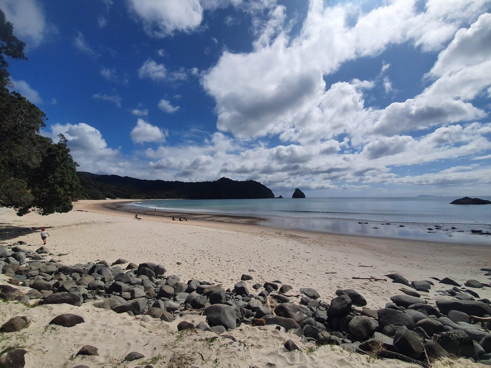Sandee Wainuiototo/New Chum's Beach Walkway
