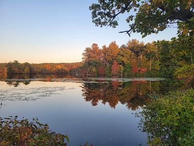 Sandee - Lincoln Woods State Park Beach