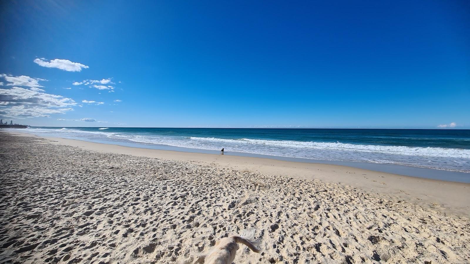 Sandee Tallebudgera Offleash Dog Beach Photo