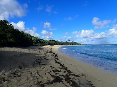 Sandee - Shoys Beach