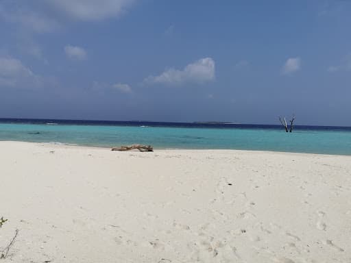 Sandee Tourist Beach Photo