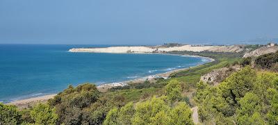 Sandee - Spiaggia Di Bovo Marina