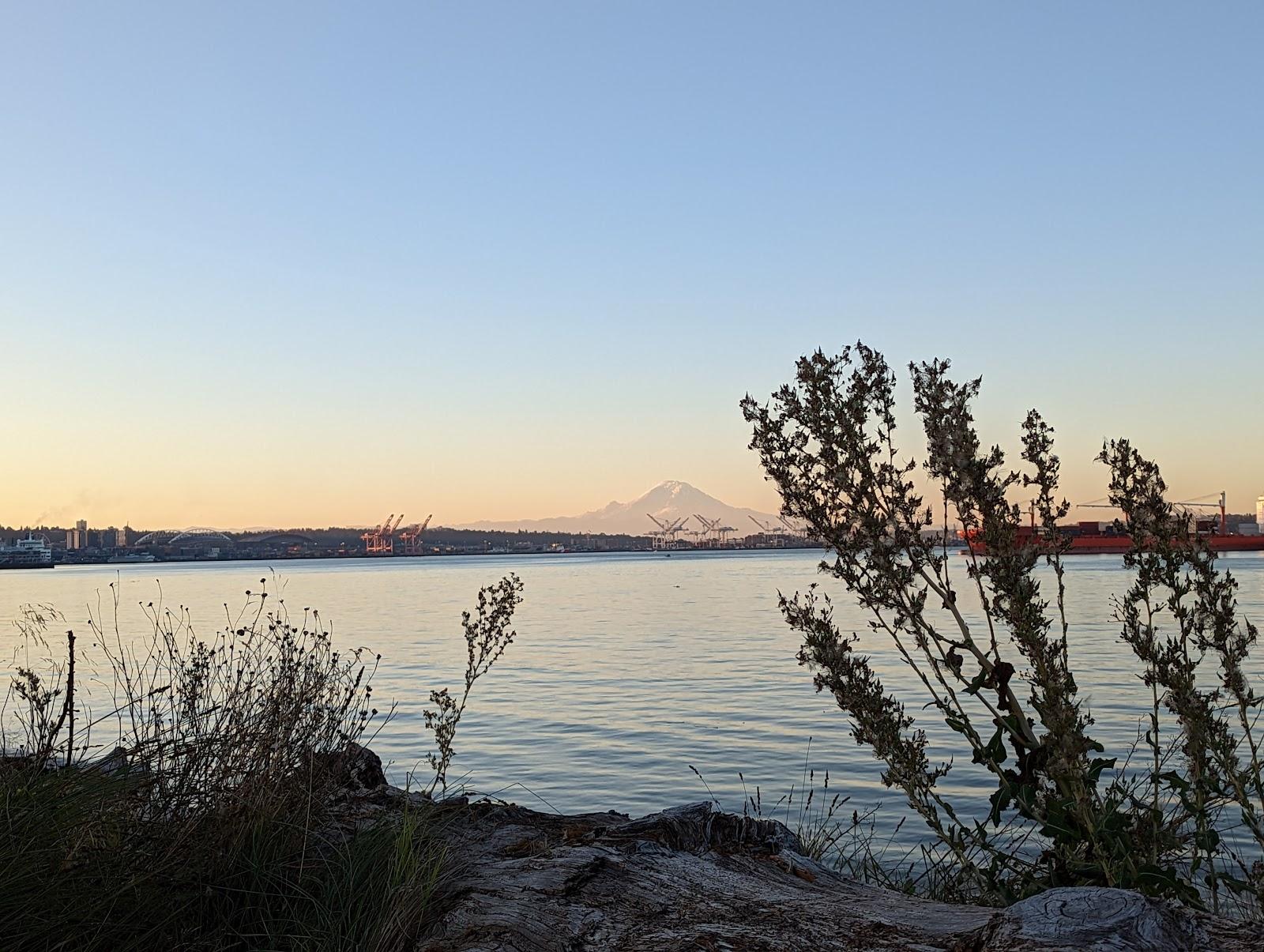 Sandee Elliot Bay Park