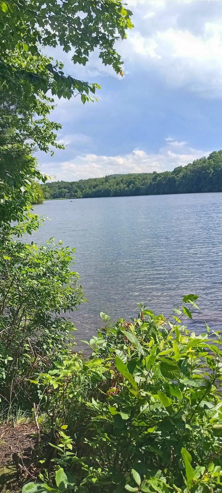 Sandee Green Turtle Lake - Ringwood State Park Photo