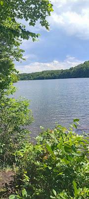 Sandee - Green Turtle Lake - Ringwood State Park